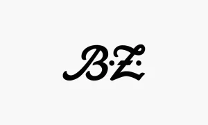 Logo von BZ. Ein Kunde von William Veder · Eventfotografie — Eventfotograf aus Berlin. Bei Klick öffnet sich Link zur Website von BZ in neuem Tab